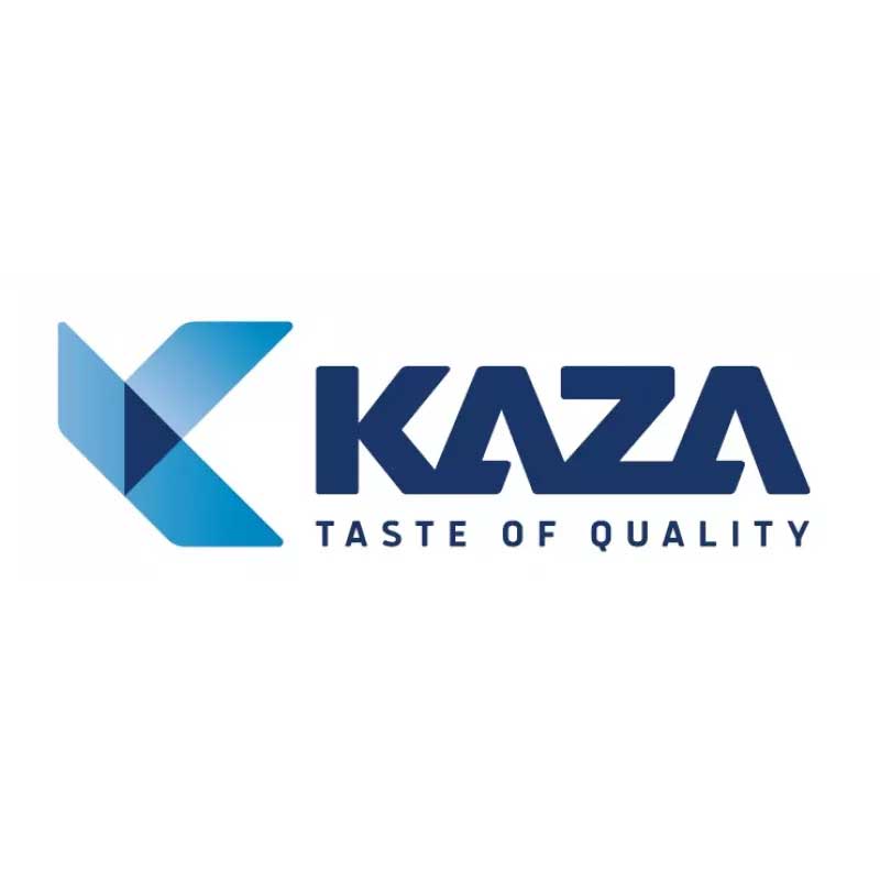 Kaza sistemi